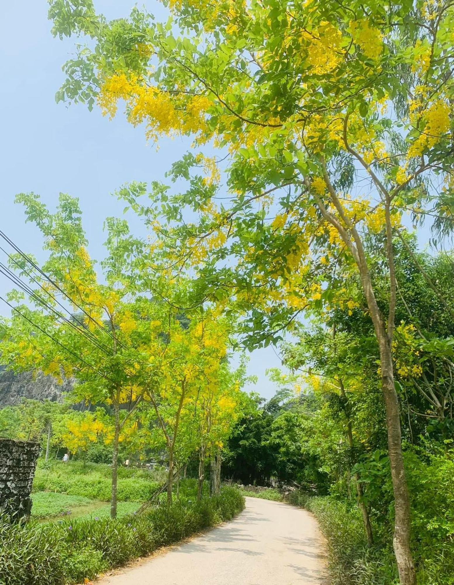 Tam Coc Min House Hotell Vu Lam Eksteriør bilde