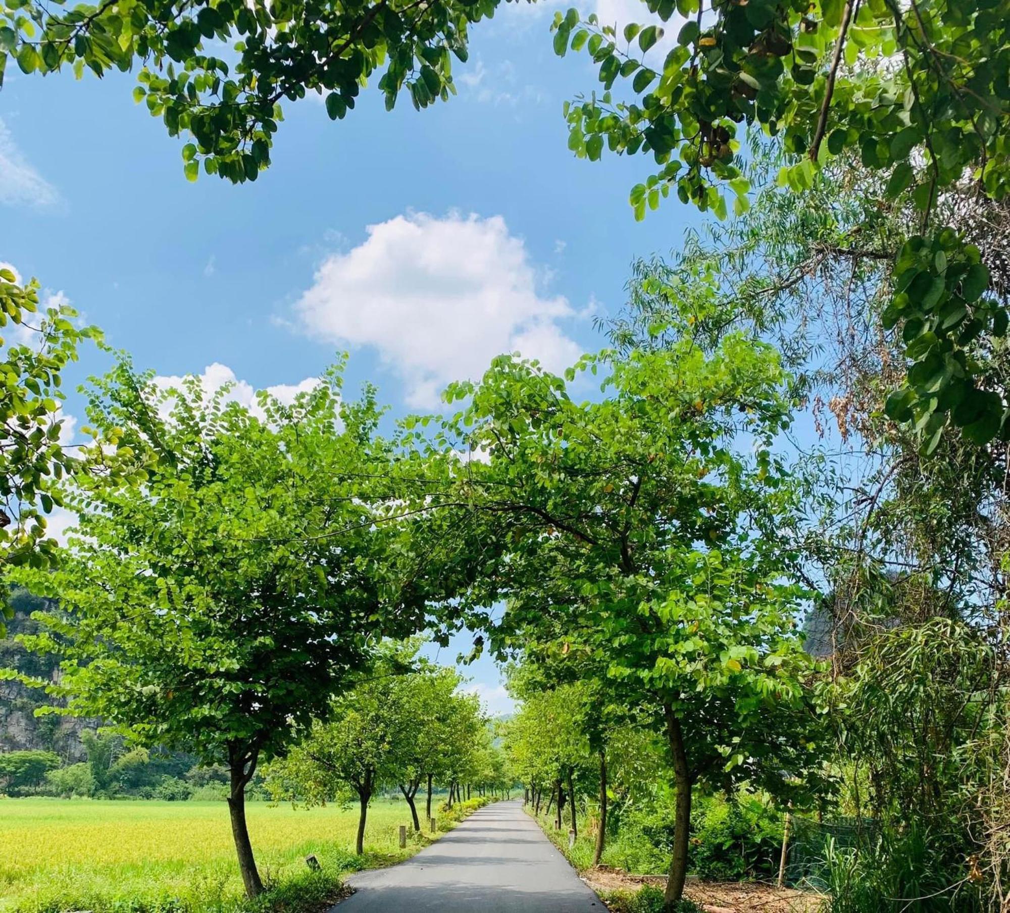 Tam Coc Min House Hotell Vu Lam Eksteriør bilde